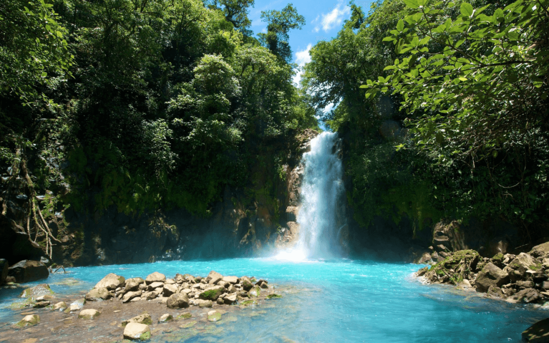 Pesticides Poison Costa Rican Foods