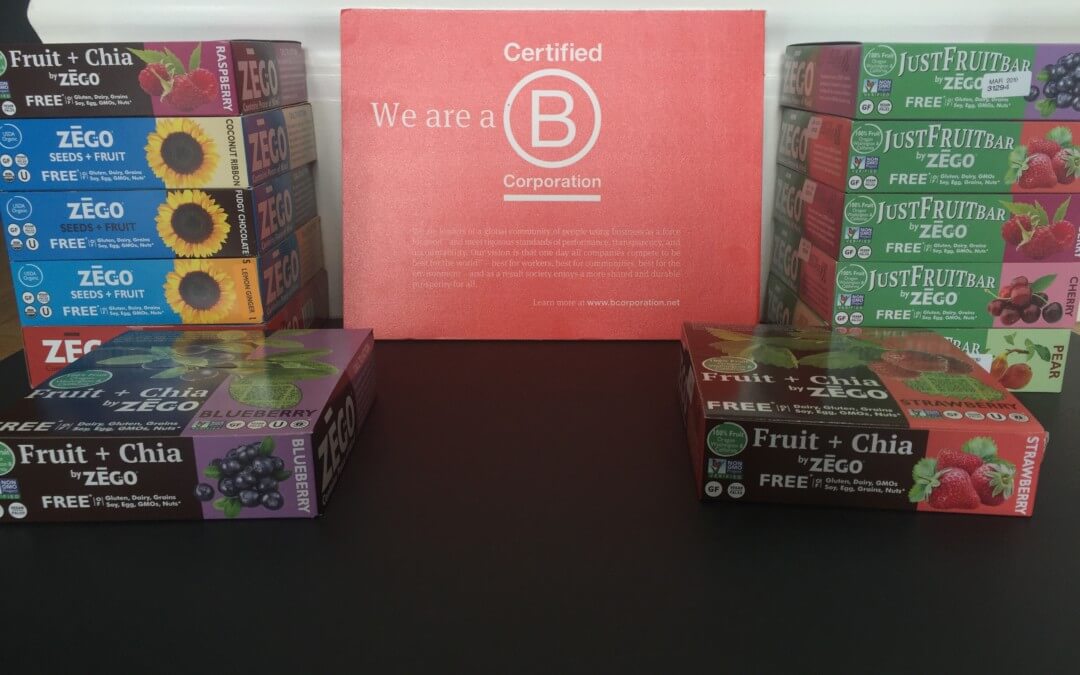 ZEGO is a B Corporation – Why This Matters!