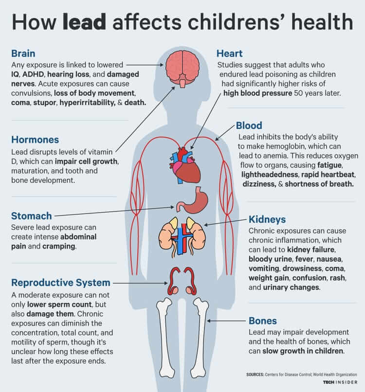 Lead affects children's brain, heart, hormones, blood, stomach, kidneys, and reproductive system.