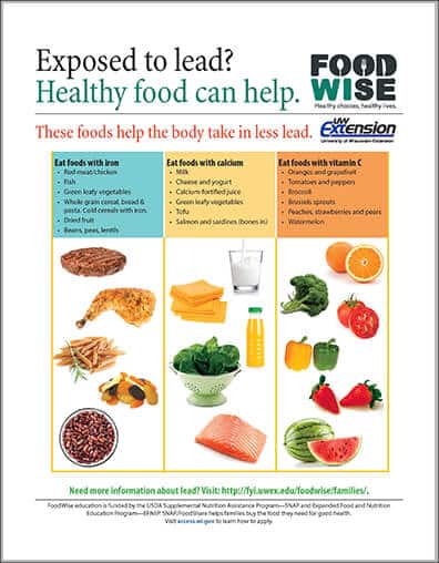 How To Detect Lead In Food? - Greatsenioryears