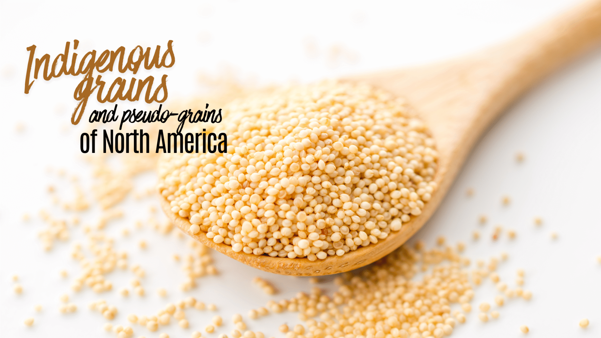 Indigenous Grains of North America