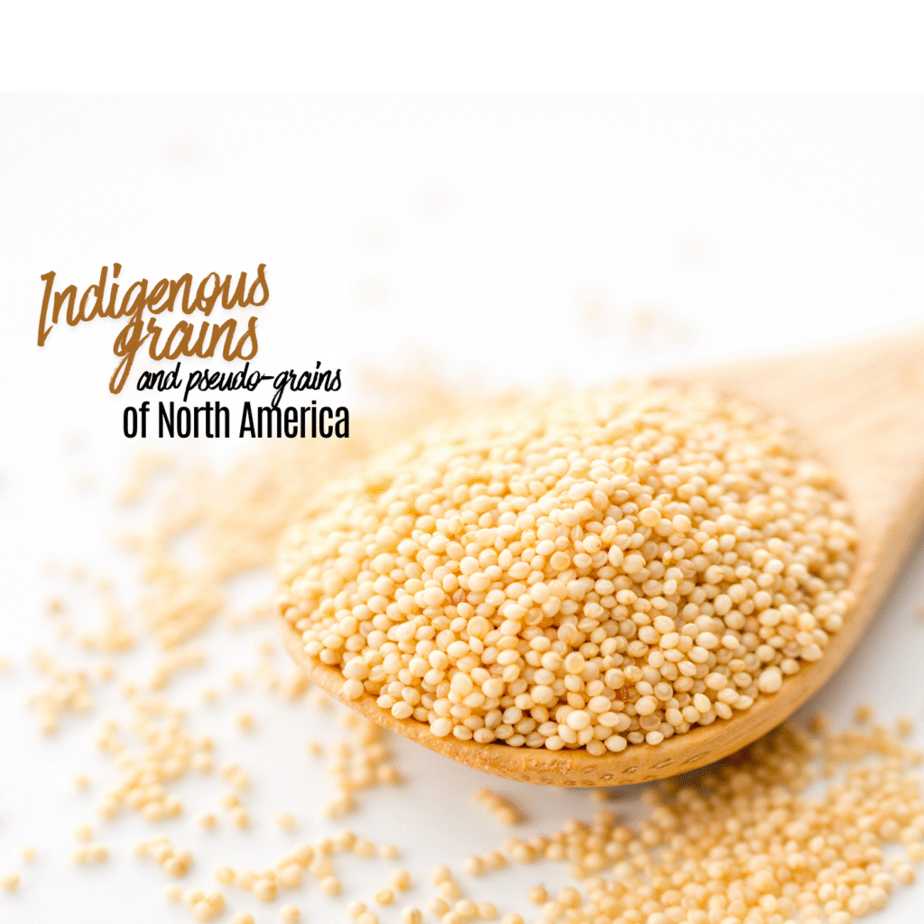 Indigenous North American Grains